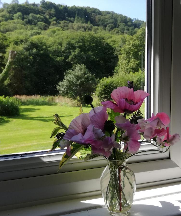 Wray Valley Moretonhampstead Eksteriør bilde