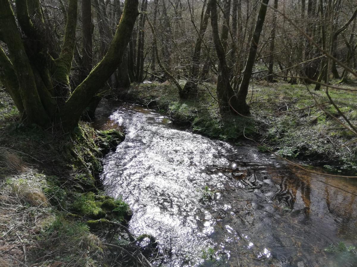 Wray Valley Moretonhampstead Eksteriør bilde