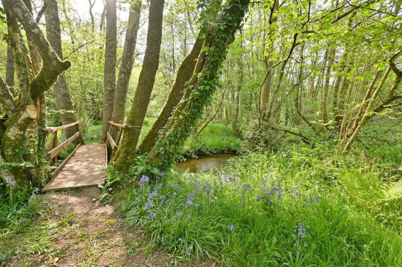Wray Valley Moretonhampstead Eksteriør bilde